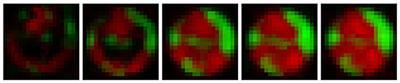 Video frame prediction of microbial growth with a recurrent neural network